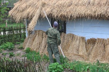 Zagroda Guciów, poszywanie nowej strzechy na starej chacie, 4 05 2013 #Guciów #strzecha