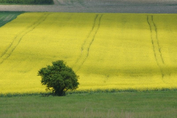 świętokrzyskie