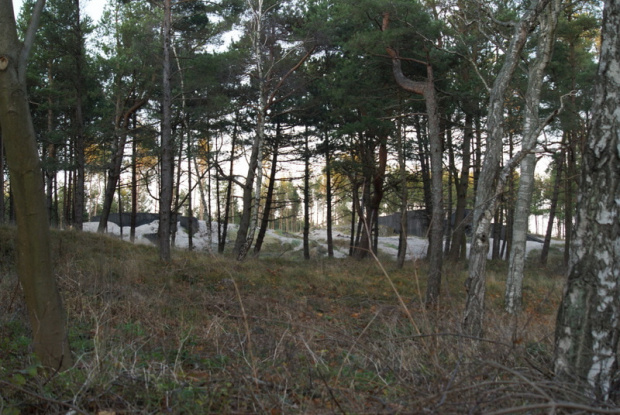 Ustka - port ,wydmy