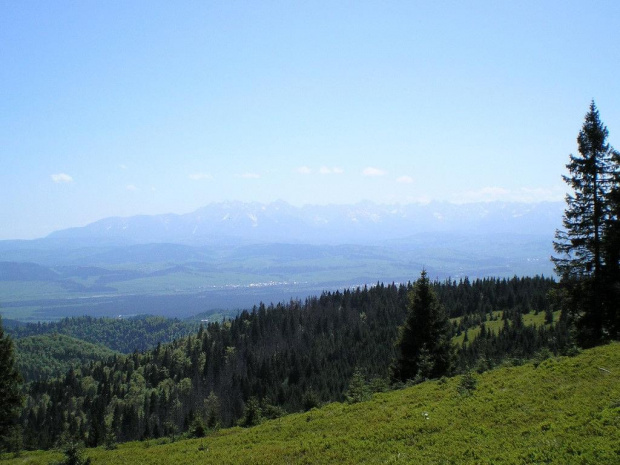 Tatry Wysokie z Hali Młyńskiej #góry #beskidy #gorce #turbacz #HalaDługa #łopuszna
