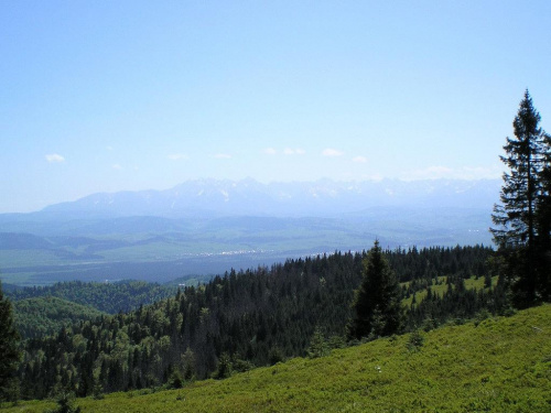 Tatry Wysokie z Hali Młyńskiej #góry #beskidy #gorce #turbacz #HalaDługa #łopuszna