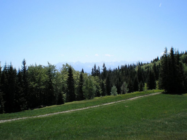 Tatry Wysokie z polany Jankówki #góry #beskidy #gorce #turbacz #HalaDługa #łopuszna