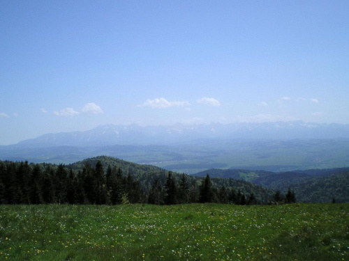 Tatry Wysokie z Długiej Hali #góry #beskidy #gorce #turbacz #HalaDługa #łopuszna