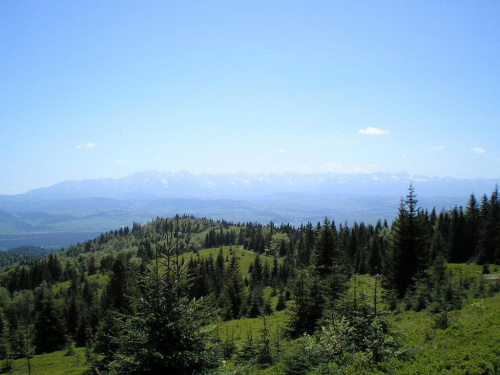 Tatry Wysokie z polany Zielenica #góry #beskidy #gorce #turbacz #HalaDługa #łopuszna