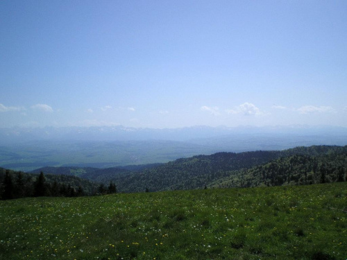 Tatry Zachodnie z Długiej Hali #góry #beskidy #gorce #turbacz #HalaDługa #łopuszna