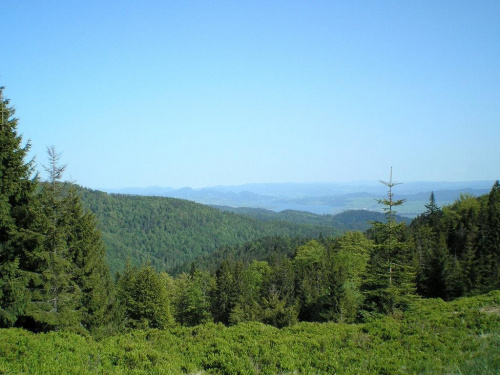 Pieniny i Jezioro Czorsztyńskie z Bukowiny Waksmundzkiej #góry #beskidy #gorce #turbacz #HalaDługa #łopuszna