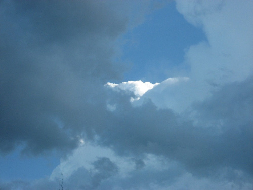 Chmura i jej rozwój 2013.05.20 g. 18:13 #chmura