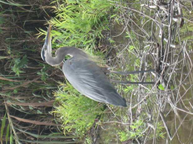 Everglades National Park