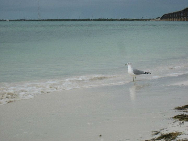 Bahia Honda State Park