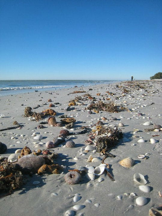 Sanibel Island