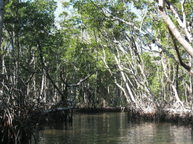 Everglades National Park