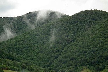 #RumuniaBanatDunajLudzie