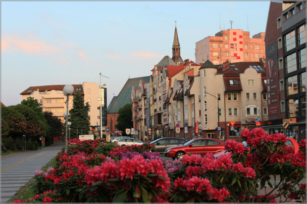Kołobrzeg #Kołobrzeg #miasto #rododendrony
