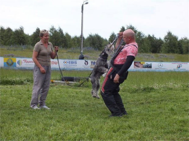 15.06.2013