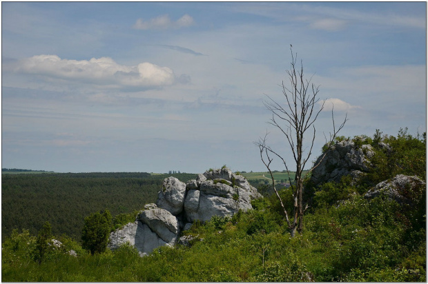 Mirów raz jeszcze