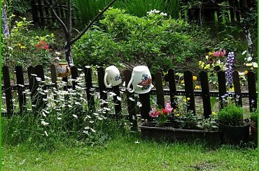 Zalew Zegrzyński 06.2013 #pies #sznaucer #zalew #żagle #żeglarstwo