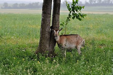Czerwcowa podróż na Ukrainę #ludzie #Lwów #Podole #Ukraina