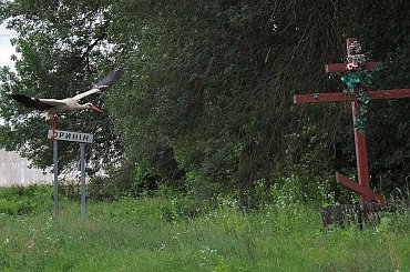 Czerwcowa podróż na Ukrainę #ludzie #Lwów #Podole #Ukraina