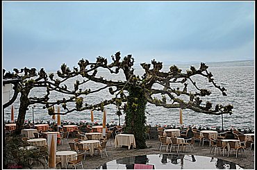 niesamowite jak dla mnie drzewa #domy #rosliny #woda