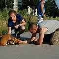 Farrida i Bonus pierwsze szkolenie #rottka #fundacja #hodowla #adopcja #pies #psy