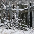 Pierwszy tej Zimy śnieg , szkoda że po 3 dniach nie było po nim już śladu i roztopił się tuż przed świętami ...