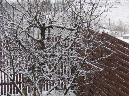 Pierwszy tej Zimy śnieg , szkoda że po 3 dniach nie było po nim już śladu i roztopił się tuż przed świętami ...