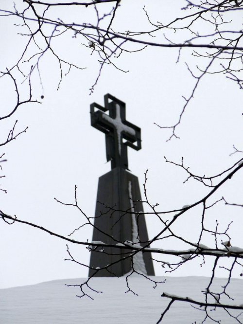 Pierwszy tej Zimy śnieg , szkoda że po 3 dniach nie było po nim już śladu i roztopił się tuż przed świętami ...