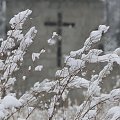 Pierwszy tej Zimy śnieg , szkoda że po 3 dniach nie było po nim już śladu i roztopił się tuż przed świętami ...