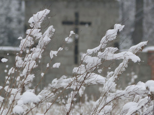 Pierwszy tej Zimy śnieg , szkoda że po 3 dniach nie było po nim już śladu i roztopił się tuż przed świętami ...