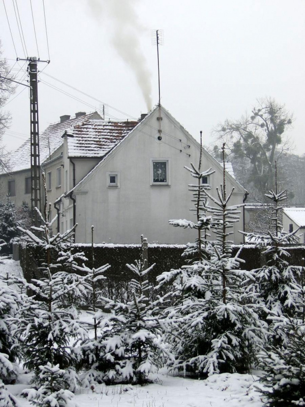 Pierwszy tej Zimy śnieg , szkoda że po 3 dniach nie było po nim już śladu i roztopił się tuż przed świętami ...