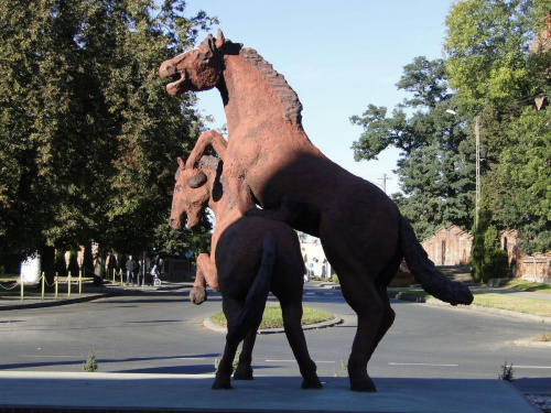Para rumaków w centrum miejscowości Pępowo - to pomnik symbolizujący bogactwo wsi Pępowo, która niegdyś słynęła ze stadniny koni.