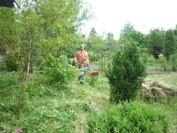 ogródek