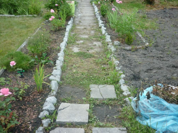 ogródek