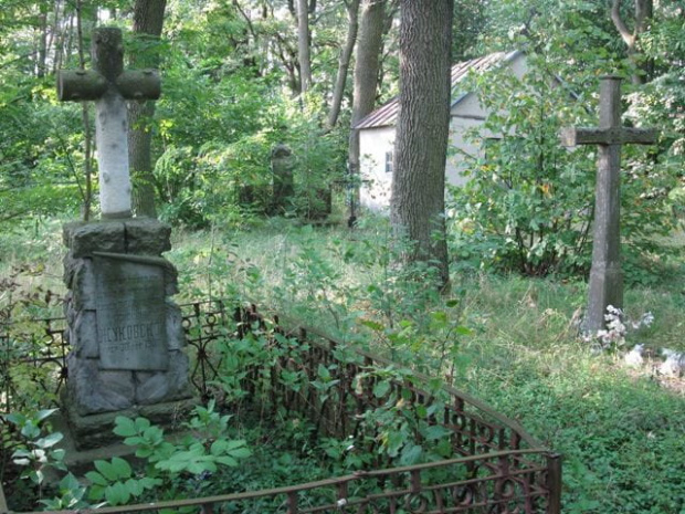 Wołoskowola (lubelskie) - cmentarz prawosławny