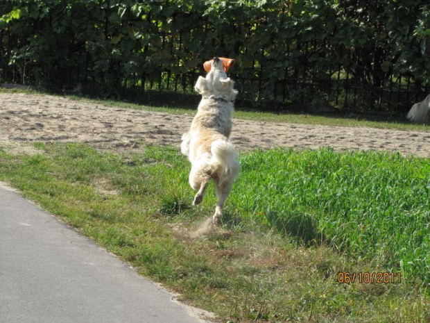 wracając juz do domku Corsa musi