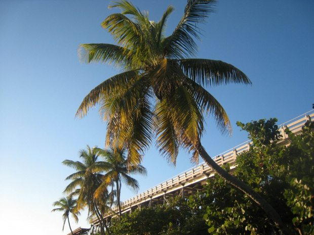 Bahia Honda State Park