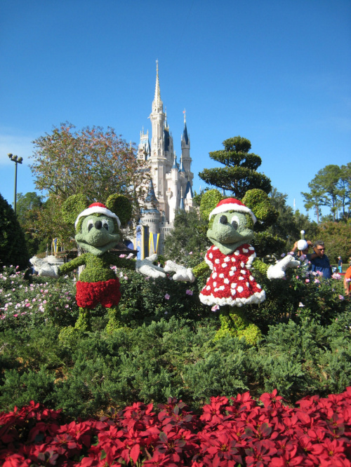 Disney World, Orlando