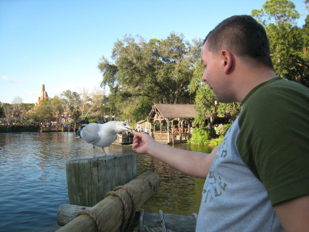 Disney World, Orlando
