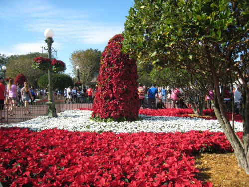 Disney World, Orlando