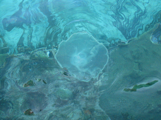 Dry Tortugas National Park