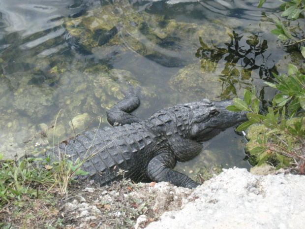 Everglades National Park