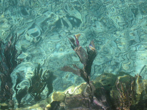 Dry Tortugas National Park