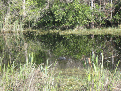 Everglades National Park