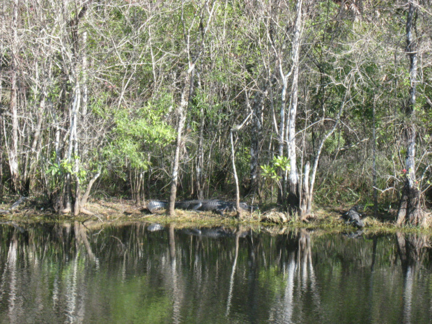 Everglades National Park