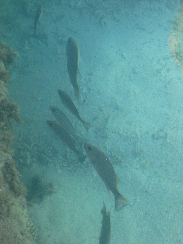 Dry Tortugas National Park