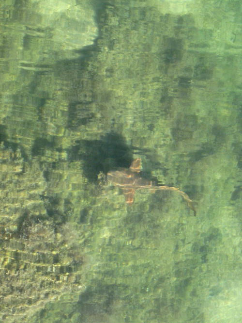 Dry Tortugas National Park