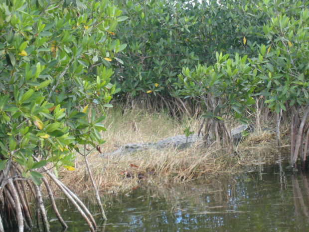 Everglades National Park