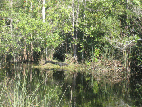 Everglades National Park