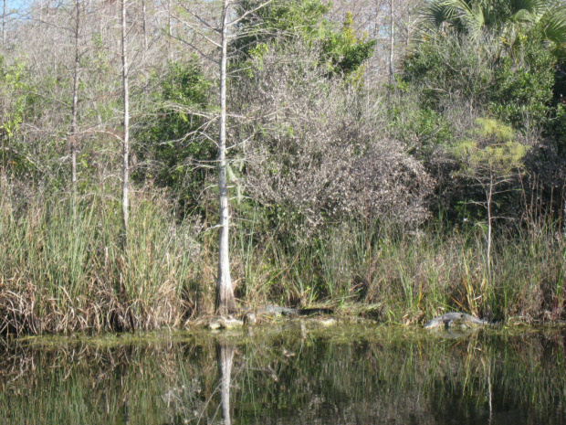 Everglades National Park