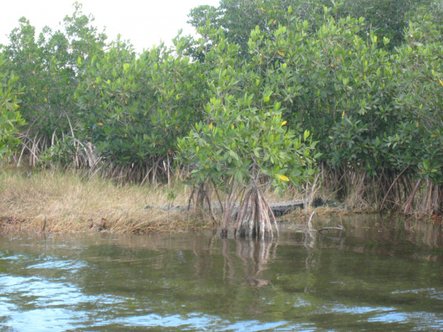 Everglades National Park